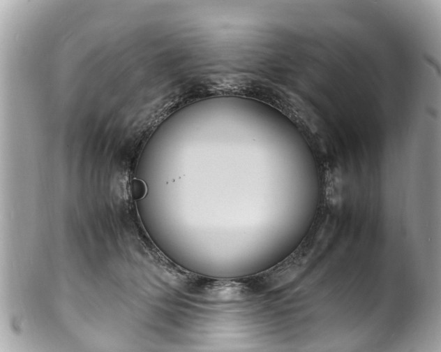 X0000100980514200807011446