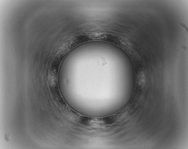 X0000100980515200807011446