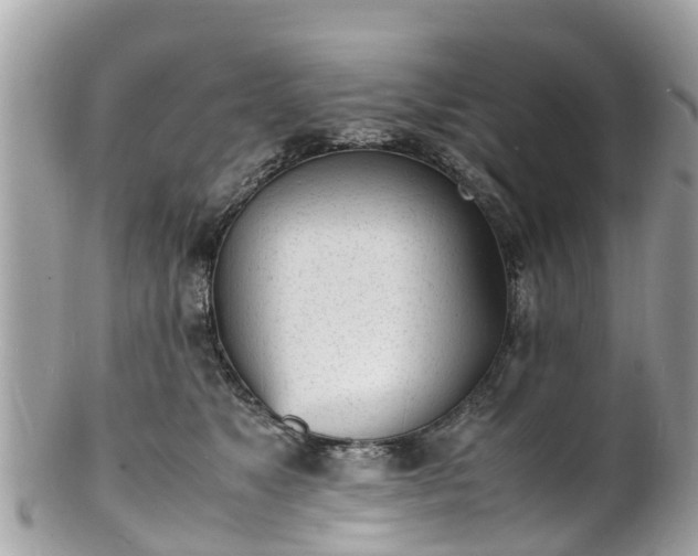 X0000100980517200807011446