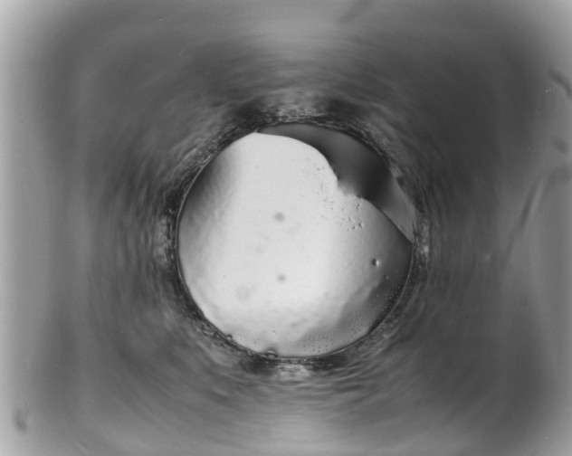 X0000100980519200807011446