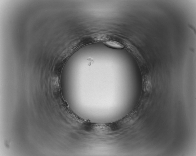 X0000100980521200807011446