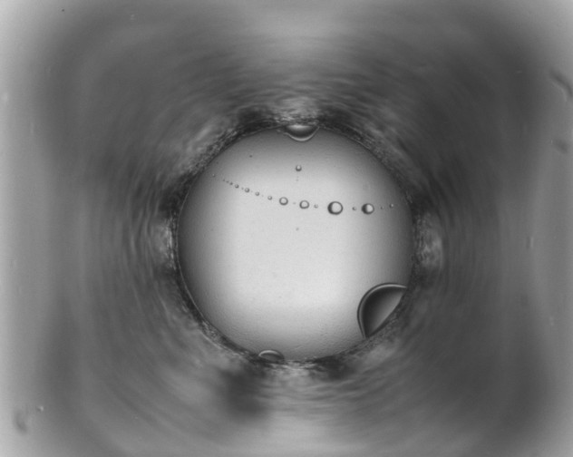 X0000100980523200807011446