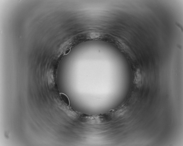 X0000100980524200807011446