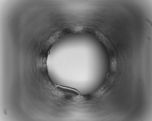 X0000100980525200807011446