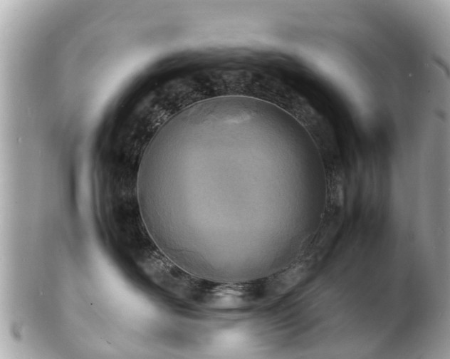 X0000100980526200807011446