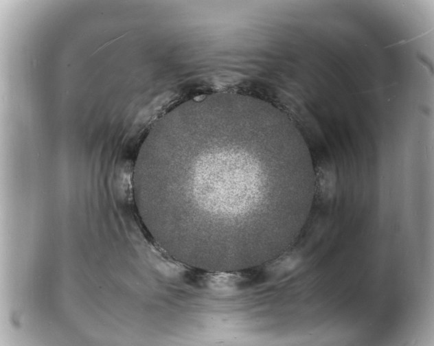 X0000100980527200807011446