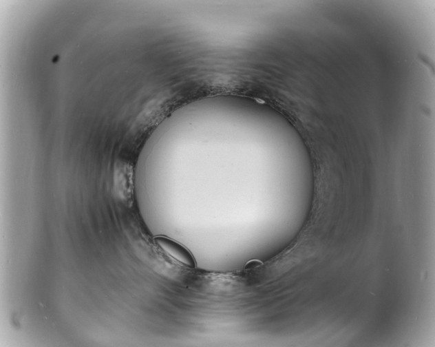 X0000100980528200807011446