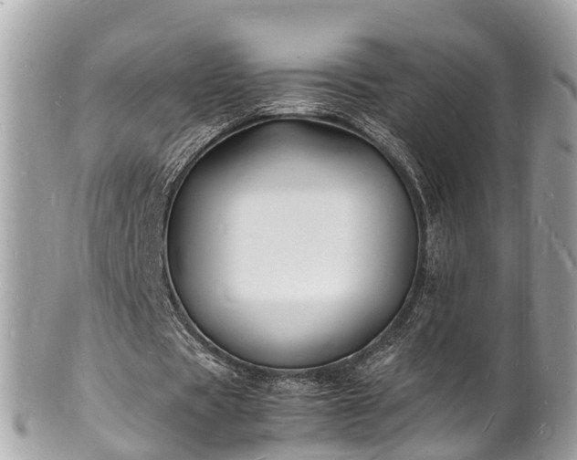 X0000100980529200807011445