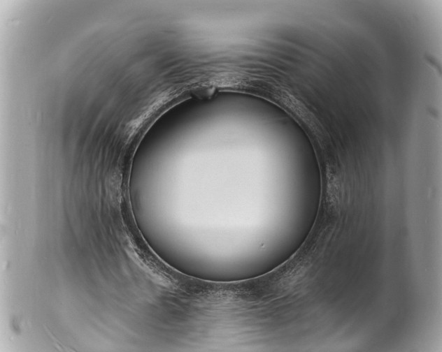 X0000100980530200807011445