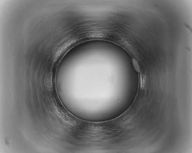 X0000100980531200807011445