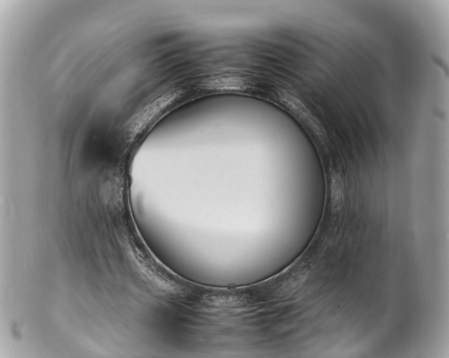 X0000100980533200807011445