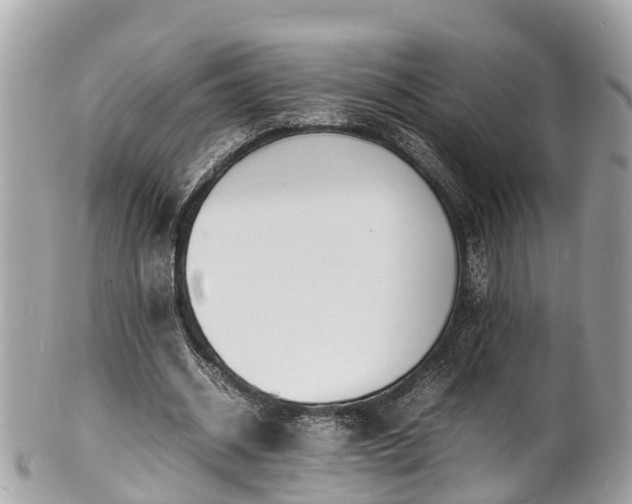 X0000100980534200807011445