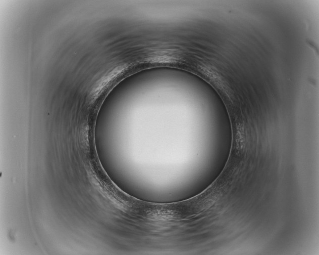 X0000100980535200807011445