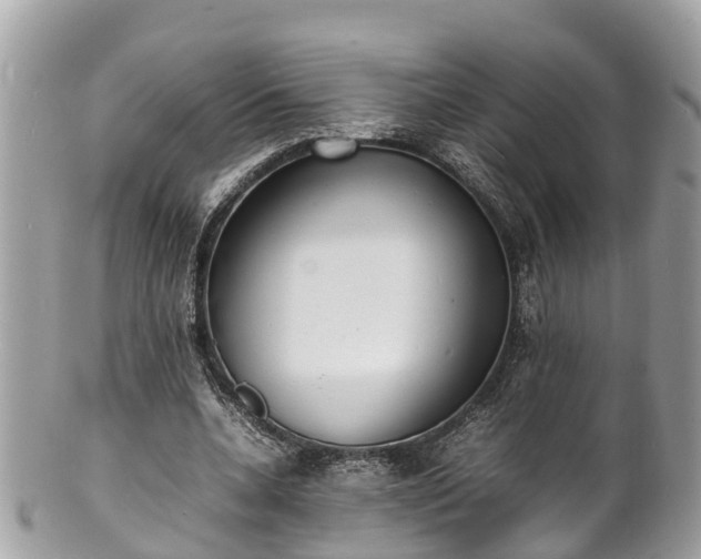 X0000100980536200807011445