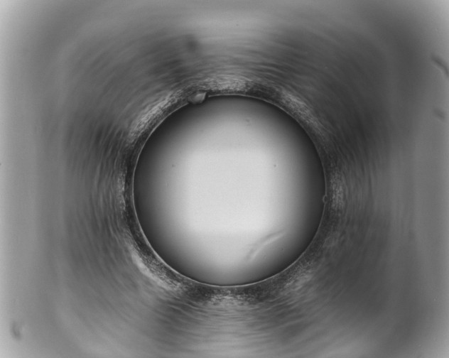 X0000100980538200807011445