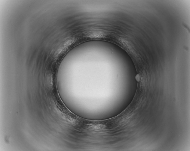 X0000100980539200807011445