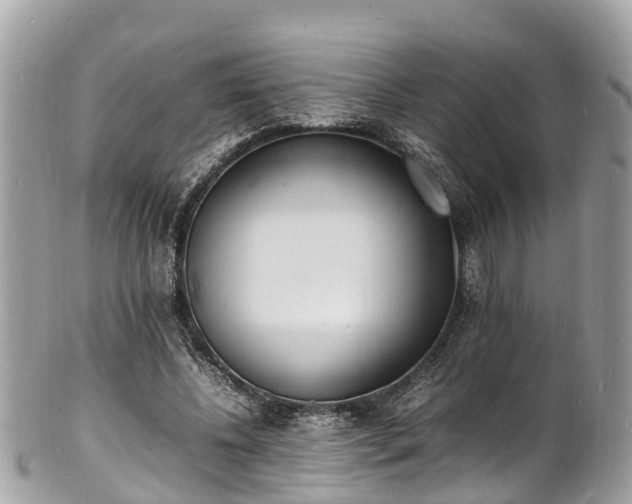 X0000100980540200807011445