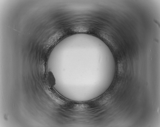 X0000100980541200807011445