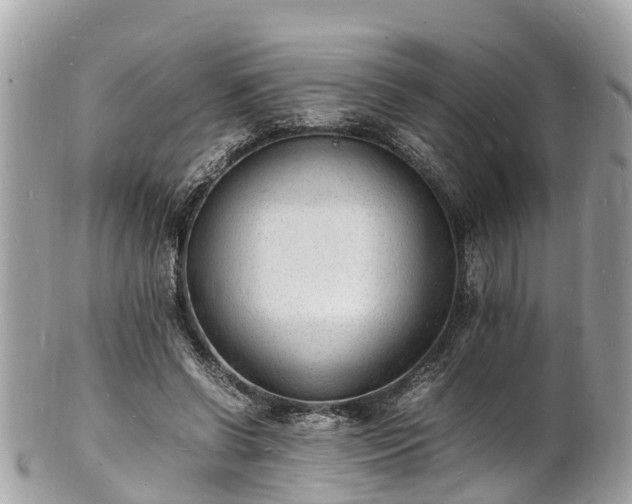 X0000100980542200807011445