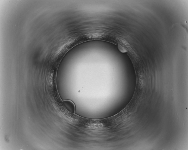 X0000100980543200807011446