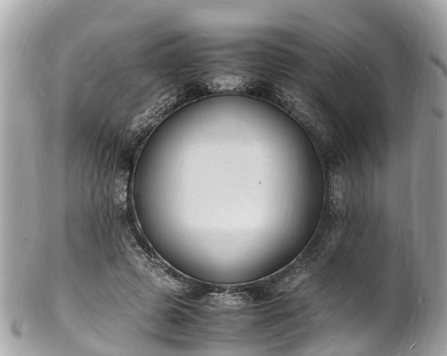 X0000100980545200807011446