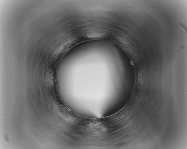 X0000100980547200807011446