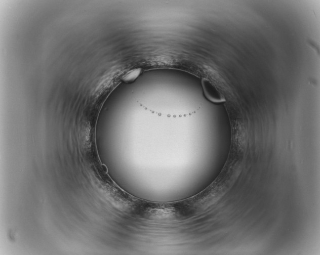 X0000100980548200807011446