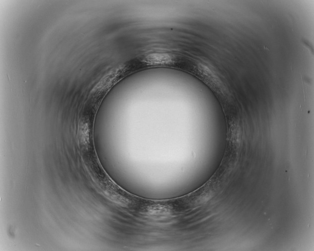 X0000100980549200807011446