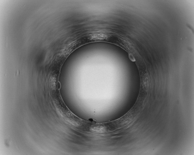 X0000100980551200807011446