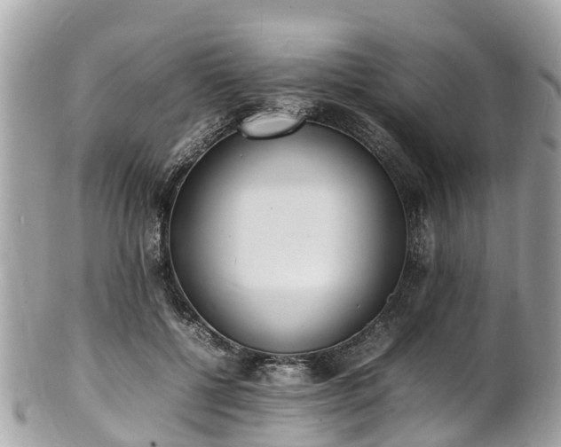 X0000100980552200807011446