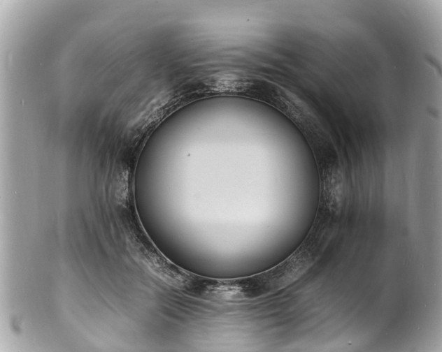 X0000100980554200807011446