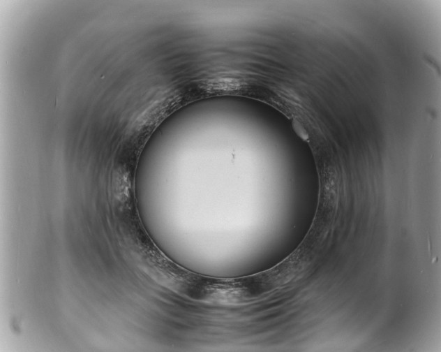 X0000100980555200807011446