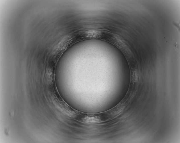 X0000100980557200807011446