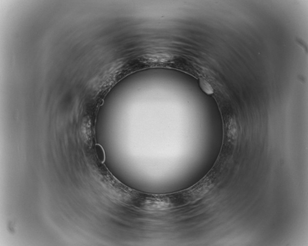 X0000100980559200807011446