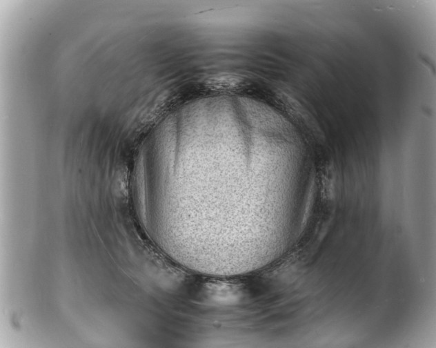 X0000100980561200807011446