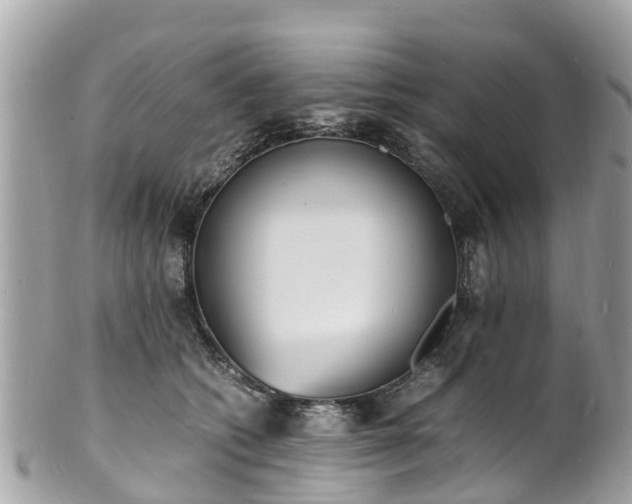 X0000100980562200807011446