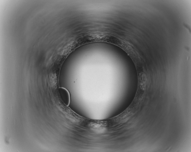 X0000100980563200807011446