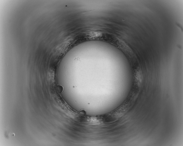 X0000100980565200807011446