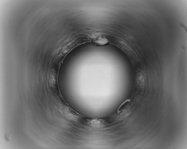 X0000100980566200807011446