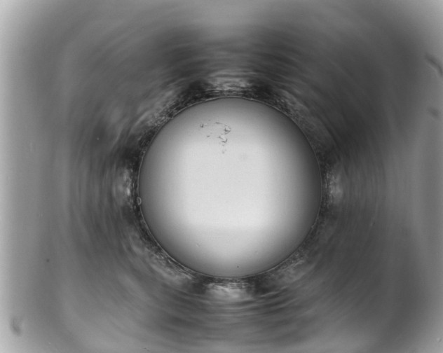 X0000100980567200807011446