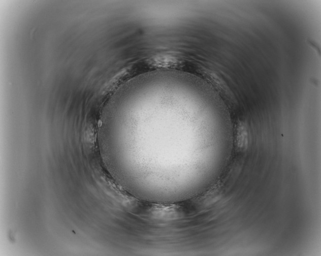 X0000100980569200807011446