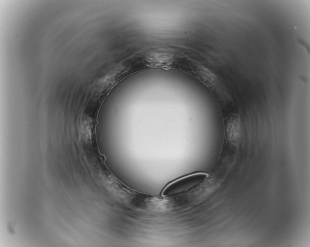 X0000100980570200807011446