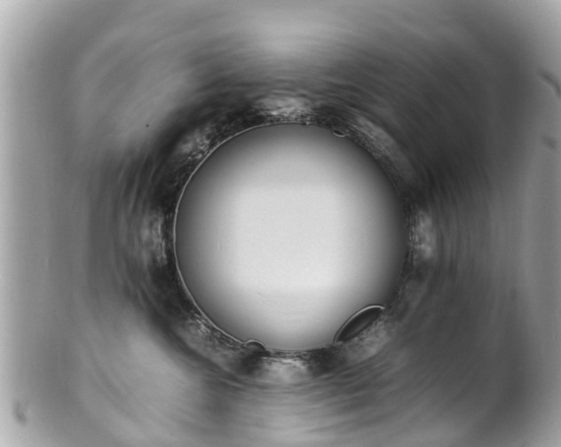 X0000100980572200807011446