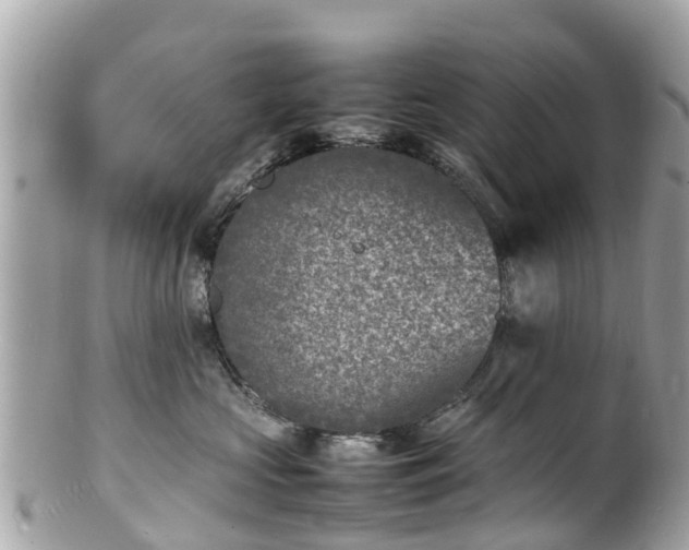 X0000100980573200807011446