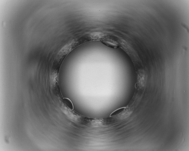 X0000100980574200807011446