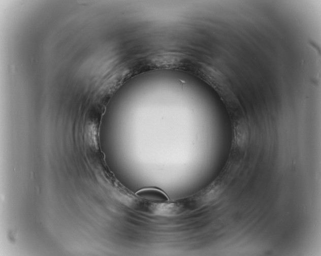 X0000100980575200807011446