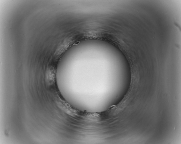 X0000100980576200807011446