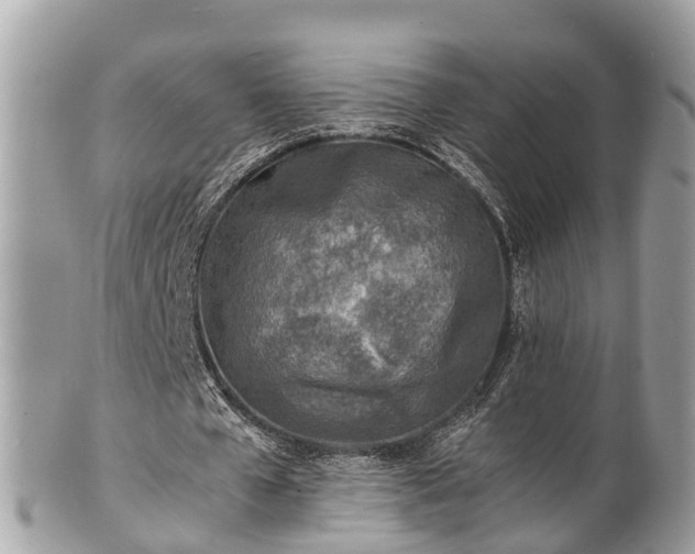 X0000100980577200807011445