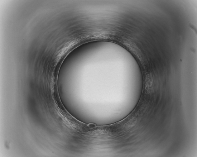 X0000100980578200807011445