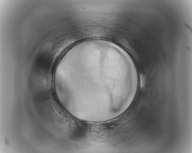 X0000100980579200807011445